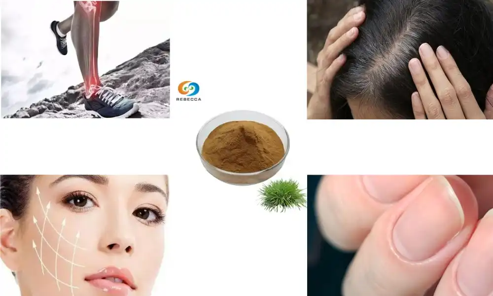 What is horsetail powder used for?